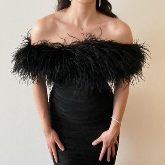 Rachel Gilbert Zion Mini Dress in Black with Feather Trim‎ Size US 4 - Picture 1 of 16